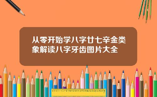 从零开始学八字廿七辛金类象解读八字牙齿图片大全