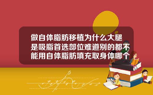做自体脂肪移植为什么大腿是吸脂首选部位难道别的都不能用自体脂肪填充取身体哪个部位好