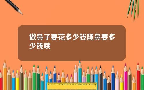 做鼻子要花多少钱隆鼻要多少钱哦