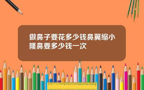 做鼻子要花多少钱鼻翼缩小隆鼻要多少钱一次