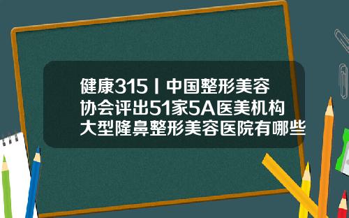 健康315丨中国整形美容协会评出51家5A医美机构大型隆鼻整形美容医院有哪些