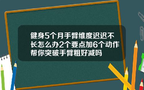 健身5个月手臂维度迟迟不长怎么办2个要点加6个动作帮你突破手臂粗好减吗
