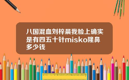 八国混血刘梓晨我脸上确实是有四五十针misko隆鼻多少钱