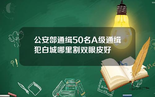 公安部通缉50名A级通缉犯白城哪里割双眼皮好