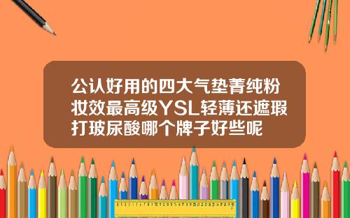 公认好用的四大气垫菁纯粉妆效最高级YSL轻薄还遮瑕打玻尿酸哪个牌子好些呢