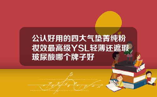 公认好用的四大气垫菁纯粉妆效最高级YSL轻薄还遮瑕玻尿酸哪个牌子好