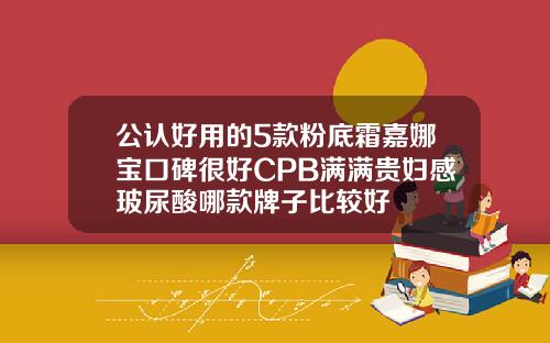 公认好用的5款粉底霜嘉娜宝口碑很好CPB满满贵妇感玻尿酸哪款牌子比较好