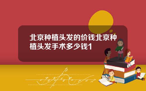 北京种植头发的价钱北京种植头发手术多少钱1