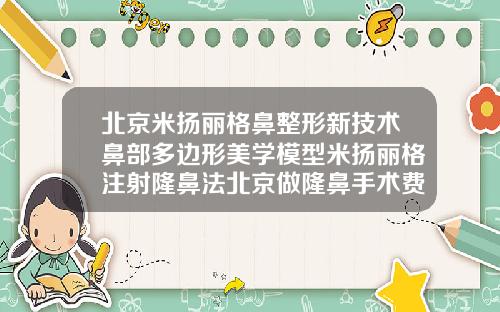 北京米扬丽格鼻整形新技术鼻部多边形美学模型米扬丽格注射隆鼻法北京做隆鼻手术费用大概多少