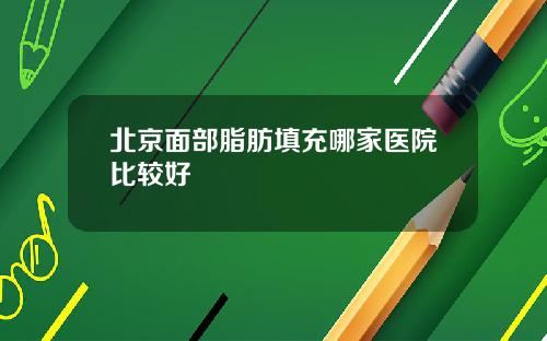 北京面部脂肪填充哪家医院比较好