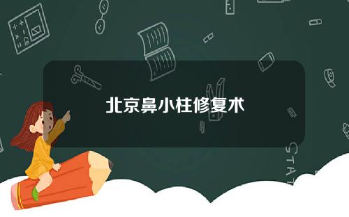 北京鼻小柱修复术
