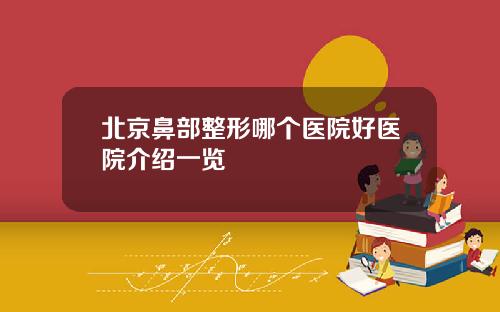 北京鼻部整形哪个医院好医院介绍一览