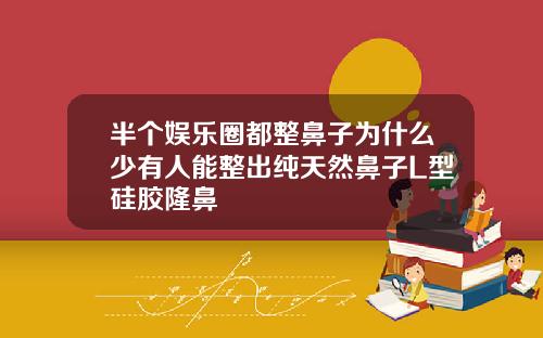 半个娱乐圈都整鼻子为什么少有人能整出纯天然鼻子L型硅胶隆鼻