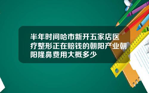 半年时间哈市新开五家店医疗整形正在赔钱的朝阳产业朝阳隆鼻费用大概多少