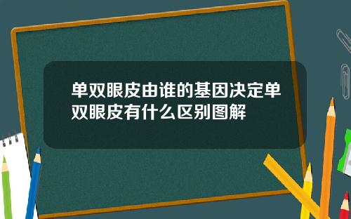 单双眼皮由谁的基因决定单双眼皮有什么区别图解