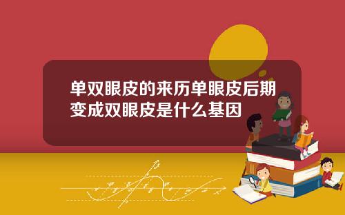 单双眼皮的来历单眼皮后期变成双眼皮是什么基因