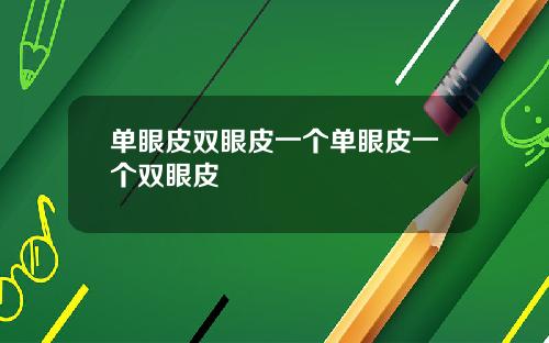 单眼皮双眼皮一个单眼皮一个双眼皮