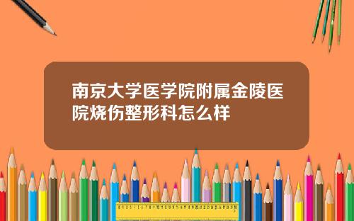 南京大学医学院附属金陵医院烧伤整形科怎么样