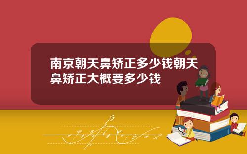 南京朝天鼻矫正多少钱朝天鼻矫正大概要多少钱