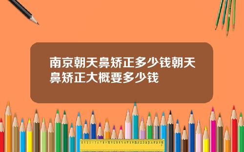 南京朝天鼻矫正多少钱朝天鼻矫正大概要多少钱
