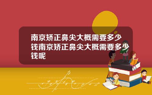 南京矫正鼻尖大概需要多少钱南京矫正鼻尖大概需要多少钱呢