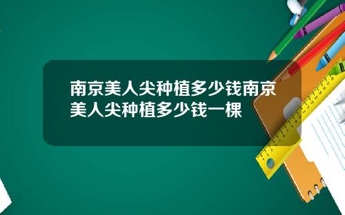 南京美人尖种植多少钱南京美人尖种植多少钱一棵