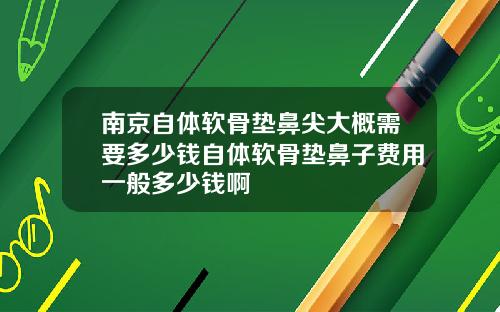 南京自体软骨垫鼻尖大概需要多少钱自体软骨垫鼻子费用一般多少钱啊