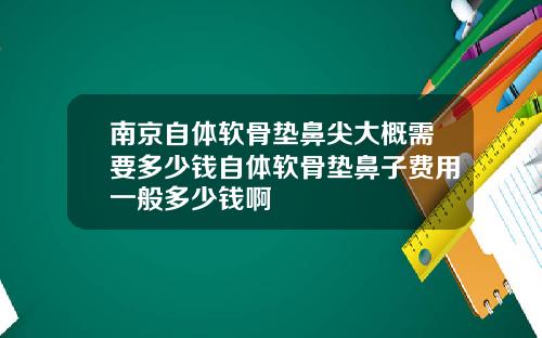 南京自体软骨垫鼻尖大概需要多少钱自体软骨垫鼻子费用一般多少钱啊