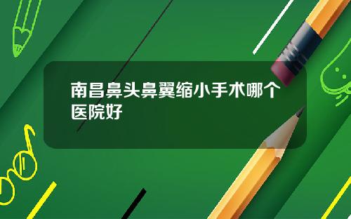南昌鼻头鼻翼缩小手术哪个医院好