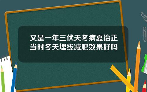 又是一年三伏天冬病夏治正当时冬天埋线减肥效果好吗