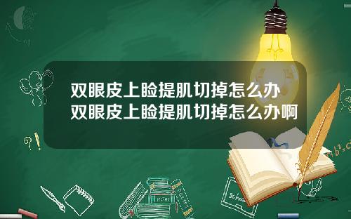 双眼皮上睑提肌切掉怎么办双眼皮上睑提肌切掉怎么办啊
