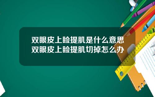 双眼皮上睑提肌是什么意思双眼皮上睑提肌切掉怎么办