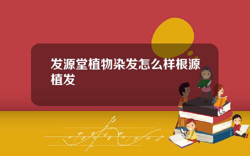 发源堂植物染发怎么样根源植发