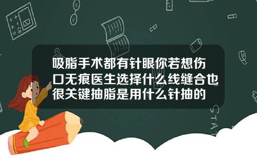 吸脂手术都有针眼你若想伤口无痕医生选择什么线缝合也很关键抽脂是用什么针抽的