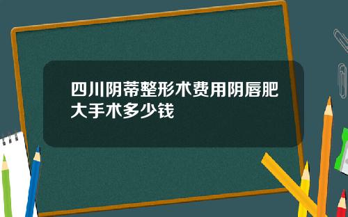 四川阴蒂整形术费用阴唇肥大手术多少钱