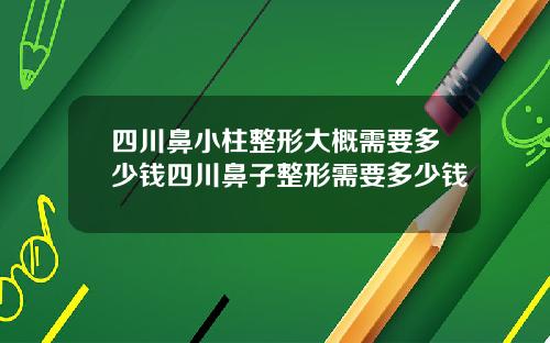 四川鼻小柱整形大概需要多少钱四川鼻子整形需要多少钱