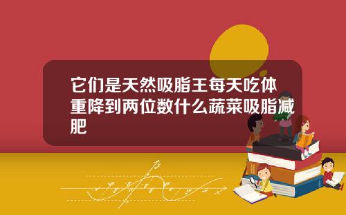 它们是天然吸脂王每天吃体重降到两位数什么蔬菜吸脂减肥
