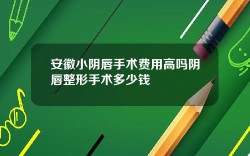 安徽小阴唇手术费用高吗阴唇整形手术多少钱