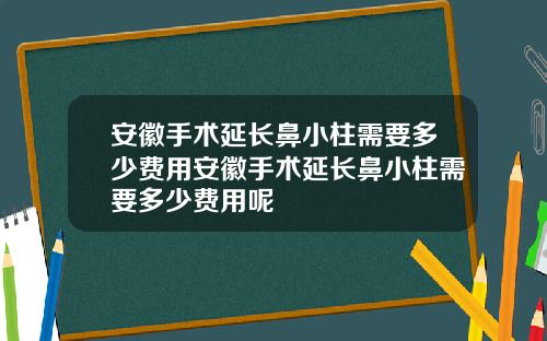 安徽手术延长鼻小柱需要多少费用安徽手术延长鼻小柱需要多少费用呢