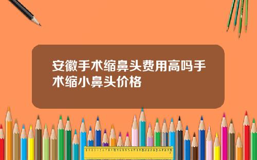 安徽手术缩鼻头费用高吗手术缩小鼻头价格