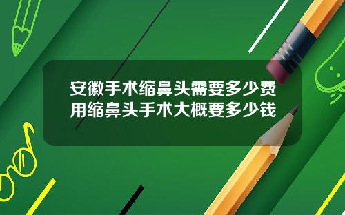 安徽手术缩鼻头需要多少费用缩鼻头手术大概要多少钱