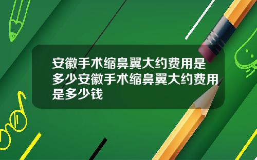 安徽手术缩鼻翼大约费用是多少安徽手术缩鼻翼大约费用是多少钱