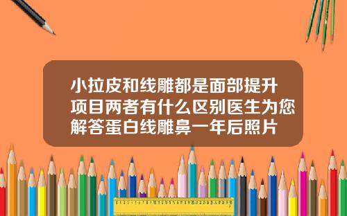 小拉皮和线雕都是面部提升项目两者有什么区别医生为您解答蛋白线雕鼻一年后照片