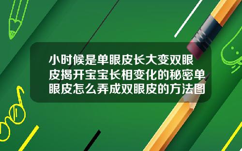 小时候是单眼皮长大变双眼皮揭开宝宝长相变化的秘密单眼皮怎么弄成双眼皮的方法图片