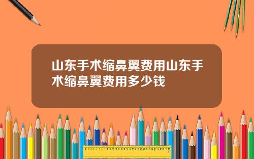 山东手术缩鼻翼费用山东手术缩鼻翼费用多少钱
