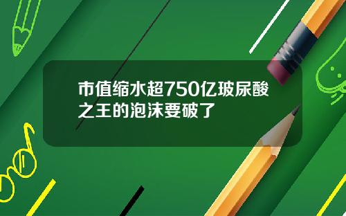市值缩水超750亿玻尿酸之王的泡沫要破了