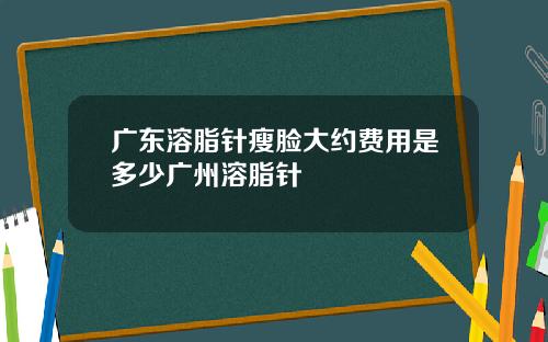 广东溶脂针瘦脸大约费用是多少广州溶脂针