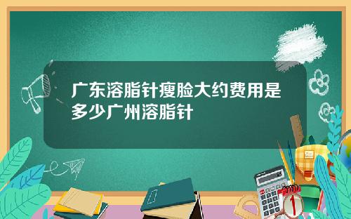 广东溶脂针瘦脸大约费用是多少广州溶脂针
