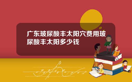 广东玻尿酸丰太阳穴费用玻尿酸丰太阳多少钱