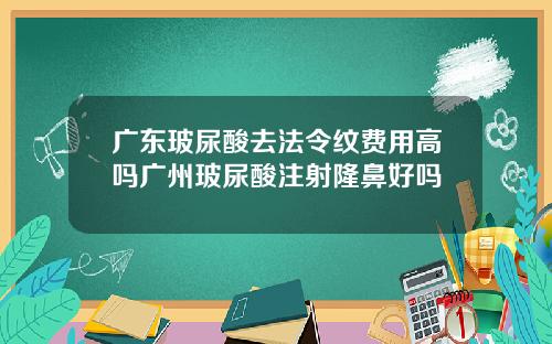 广东玻尿酸去法令纹费用高吗广州玻尿酸注射隆鼻好吗